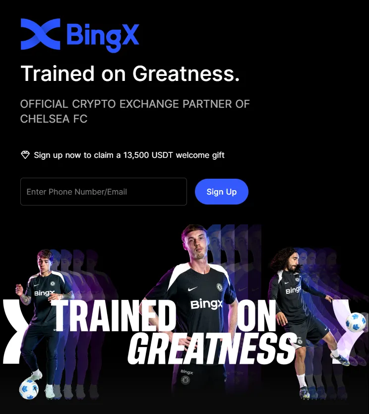 BingX Exchange Platform 2025